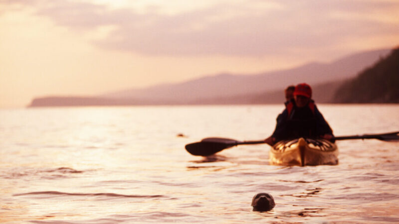 Kayak de mer au coucher du soleil à Cap aux Os